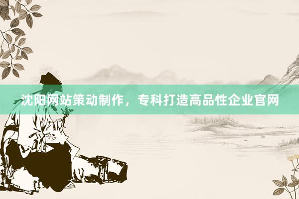 沈阳网站策动制作，专科打造高品性企业官网